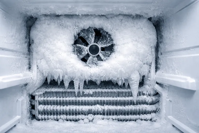 علائم جدی برفک زدن یخچال که نیاز به تعمیرکار دارد