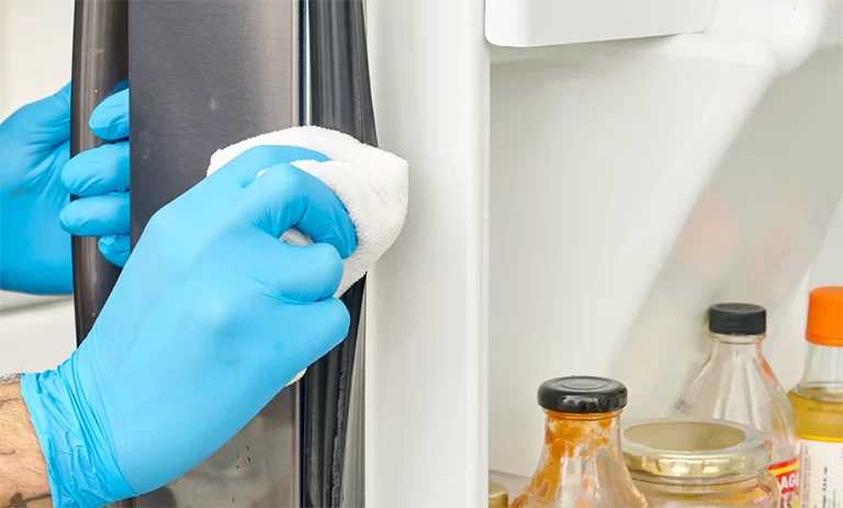 مراقبت از درز های درب یخچال